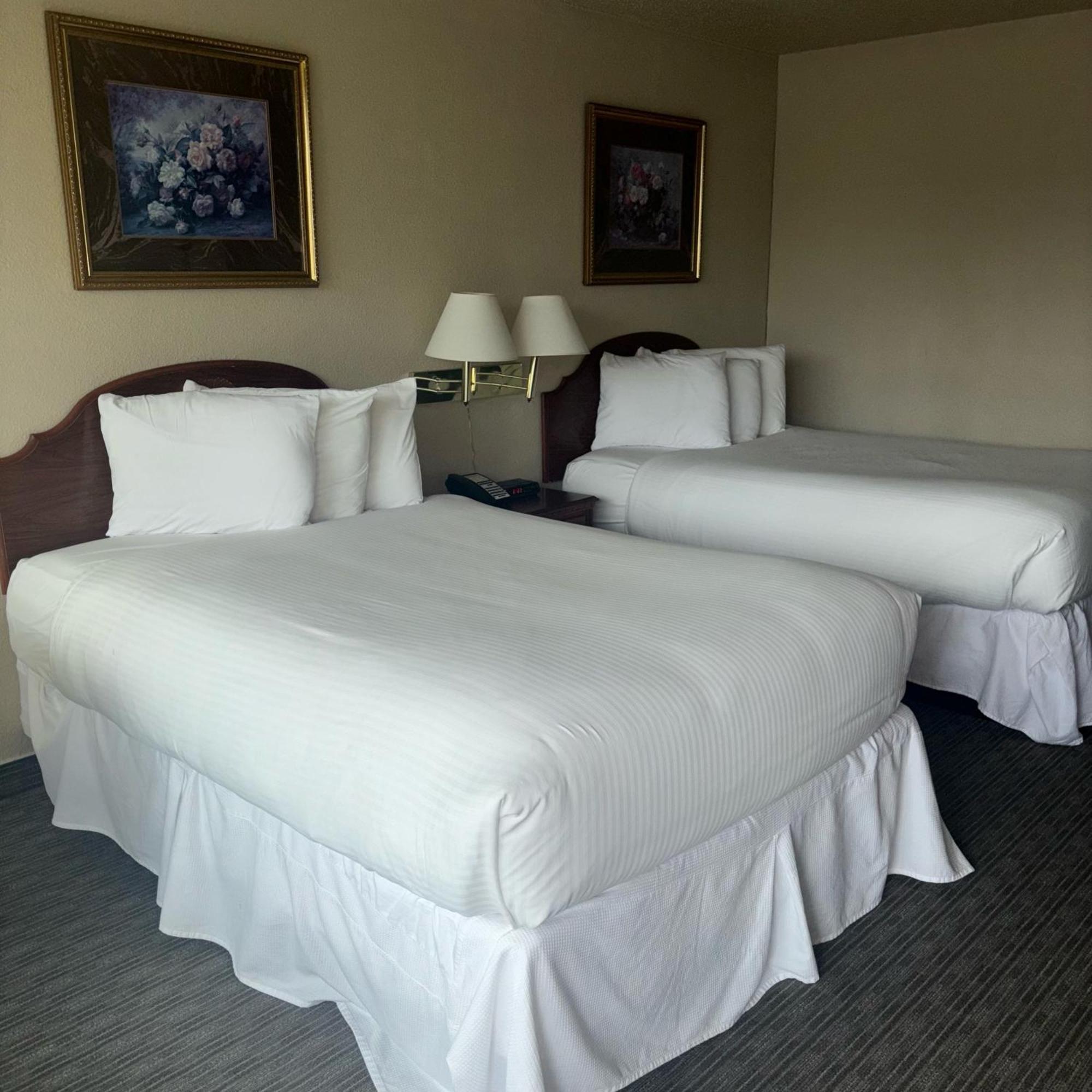 Unique Suites Hotel Charleston Eksteriør billede