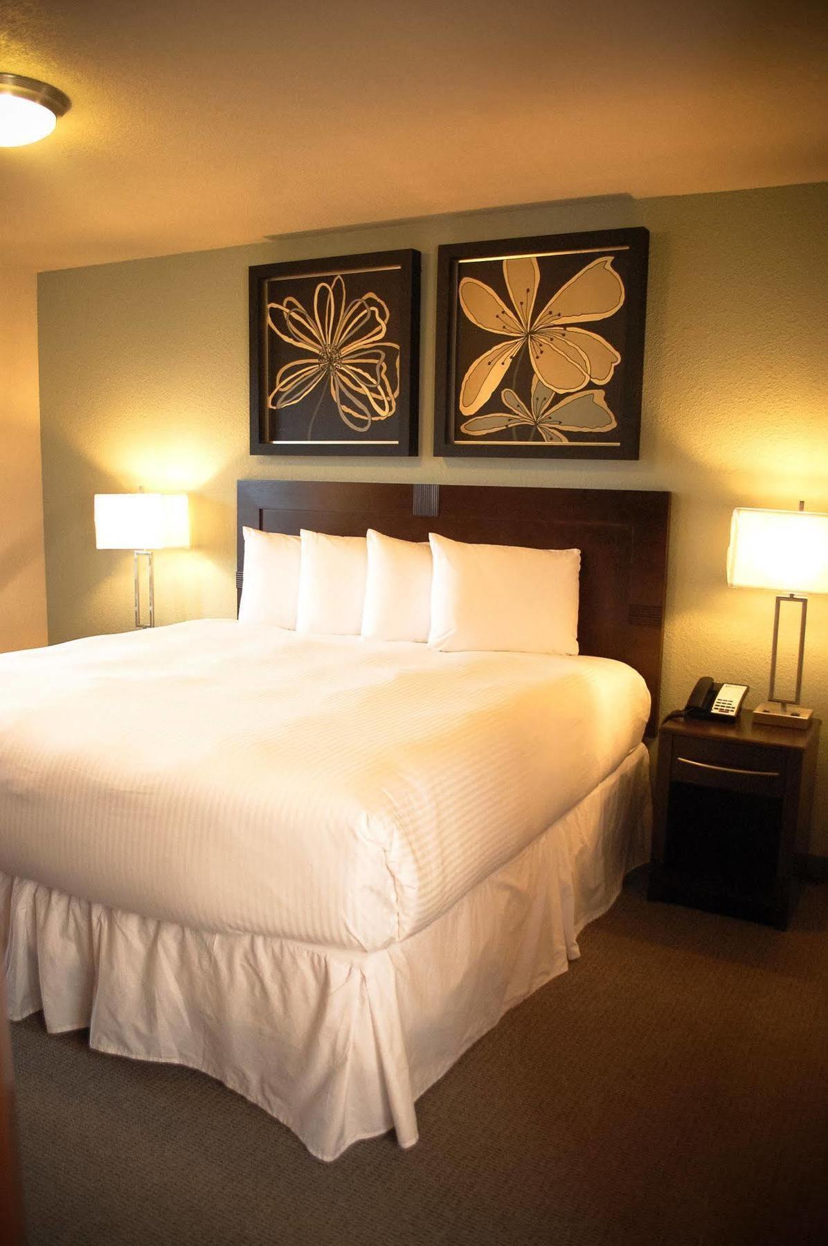 Unique Suites Hotel Charleston Eksteriør billede