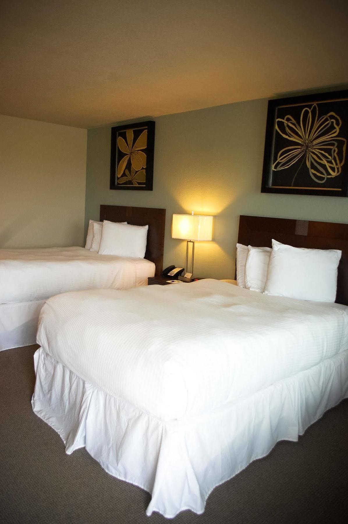 Unique Suites Hotel Charleston Eksteriør billede